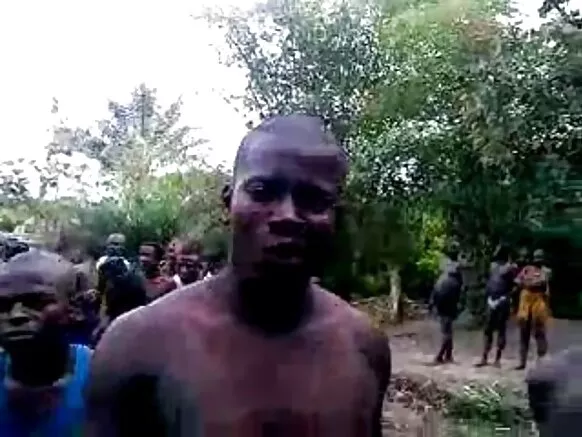 Kongo yana rawa tare da kauri mai kauri baƙar fata mai son kirim.